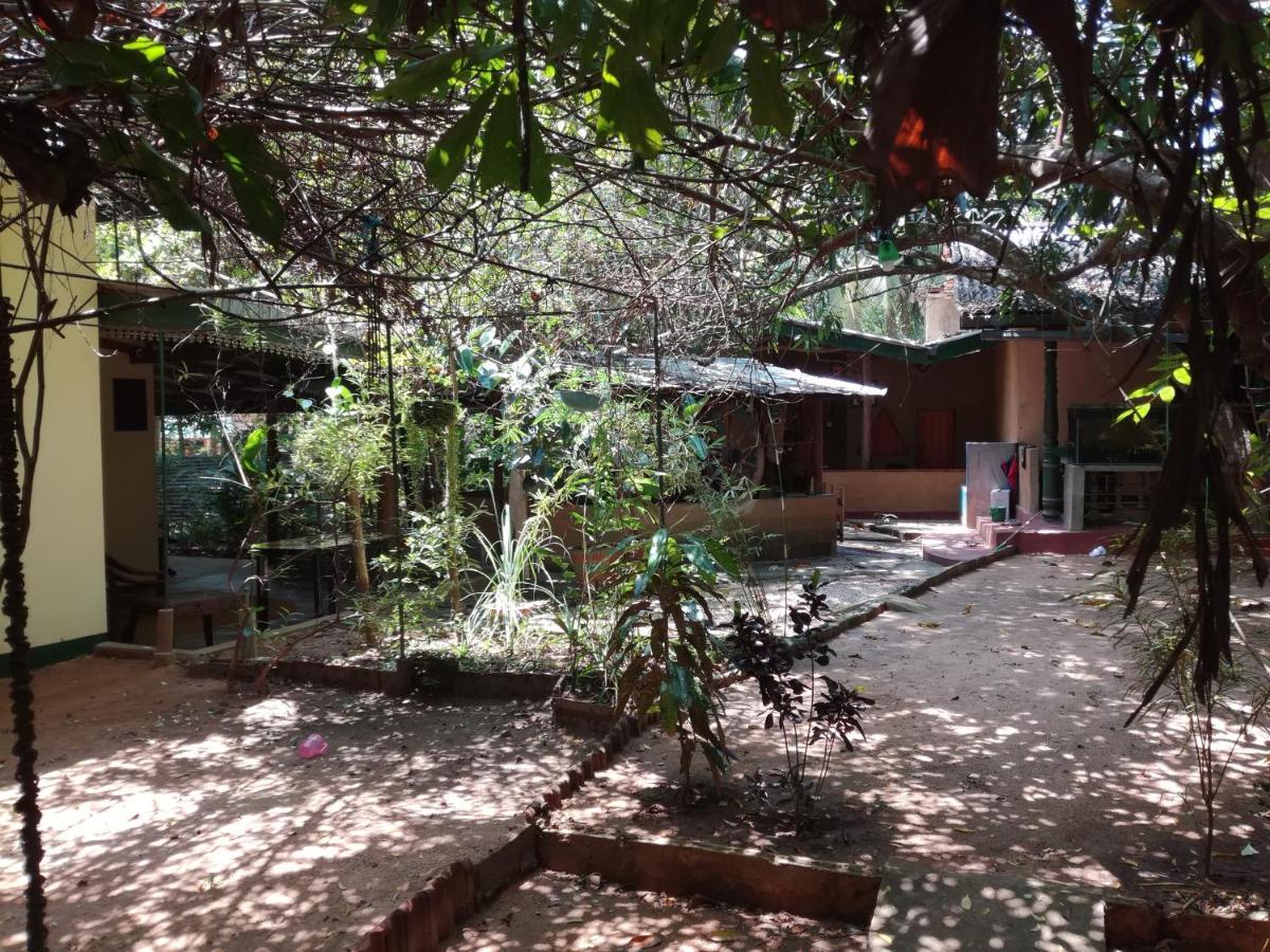 Sigiriya Freedom Lodge Dambulla Εξωτερικό φωτογραφία