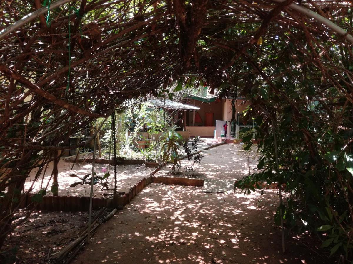 Sigiriya Freedom Lodge Dambulla Εξωτερικό φωτογραφία