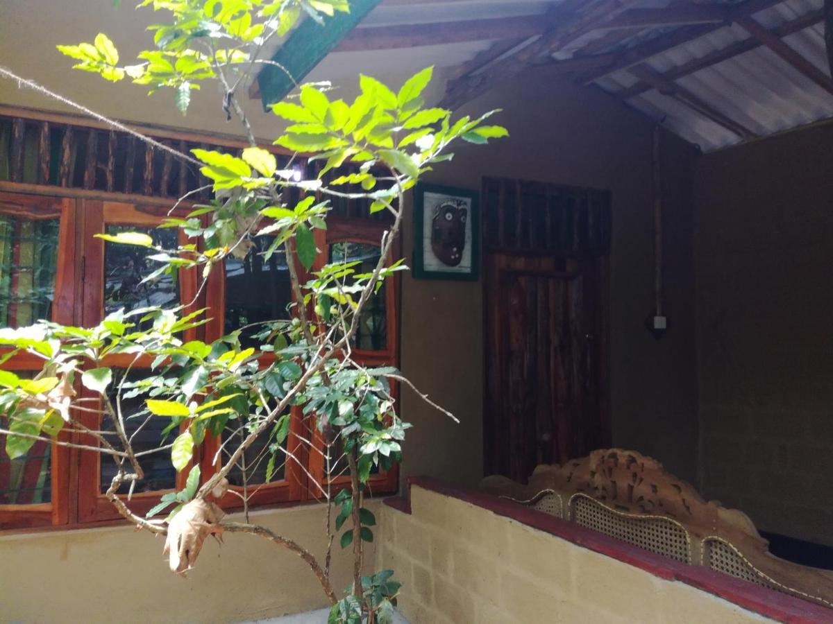 Sigiriya Freedom Lodge Dambulla Εξωτερικό φωτογραφία