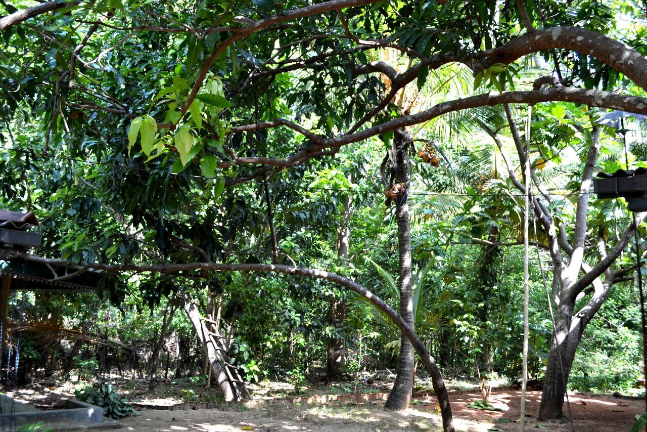 Sigiriya Freedom Lodge Dambulla Εξωτερικό φωτογραφία