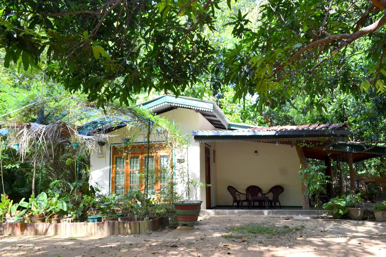 Sigiriya Freedom Lodge Dambulla Εξωτερικό φωτογραφία