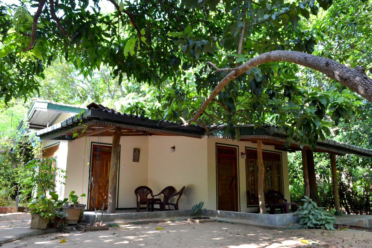 Sigiriya Freedom Lodge Dambulla Εξωτερικό φωτογραφία