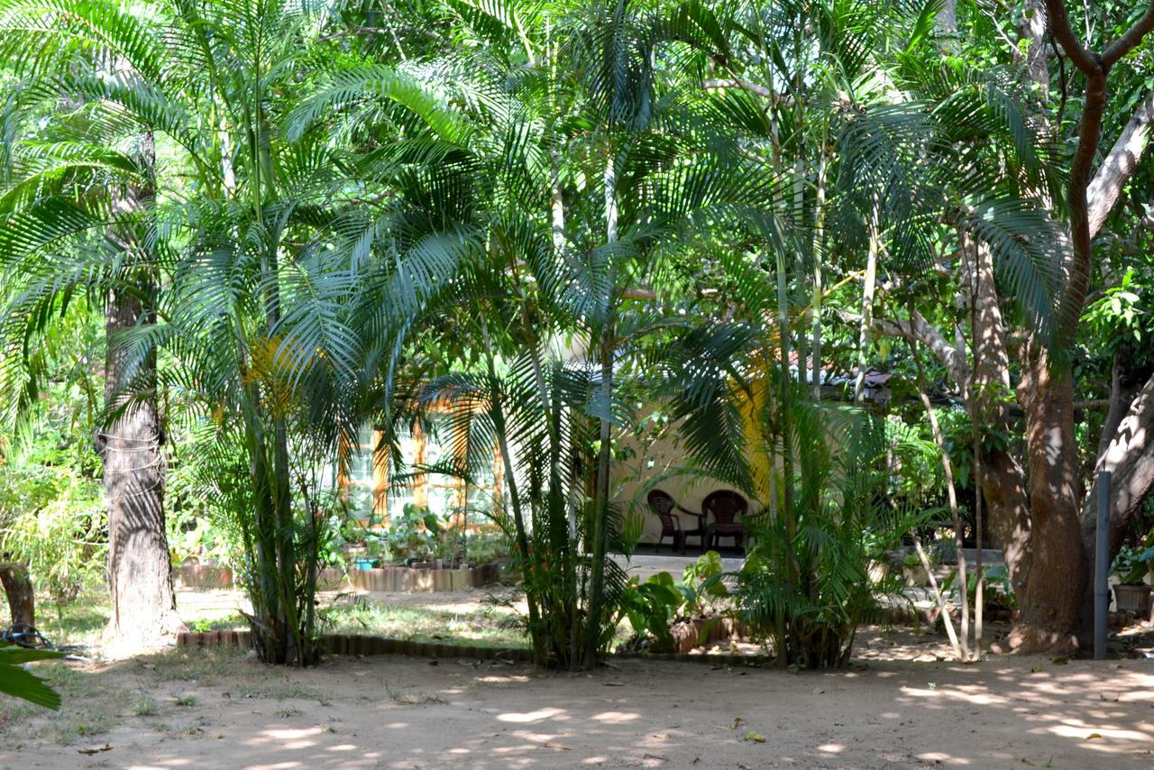 Sigiriya Freedom Lodge Dambulla Εξωτερικό φωτογραφία