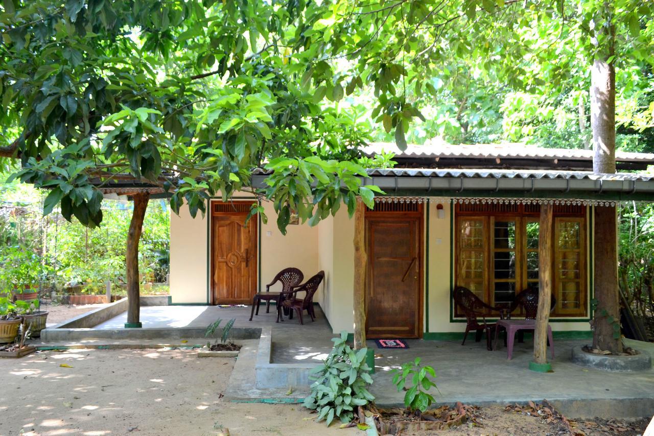 Sigiriya Freedom Lodge Dambulla Εξωτερικό φωτογραφία